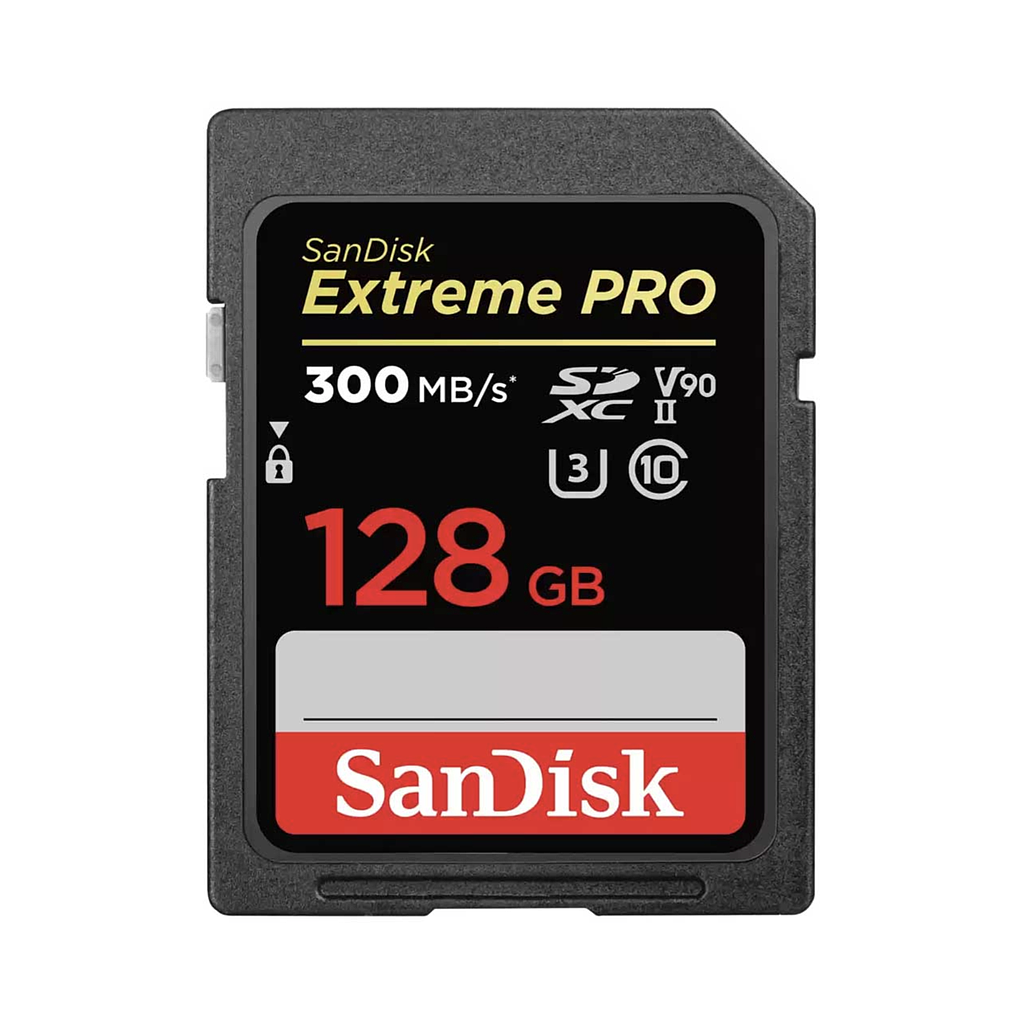 SDSDXDK-128G-GN4IN