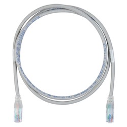 C601100004