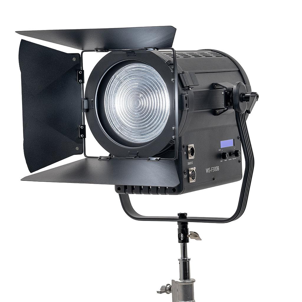 WS-F300B