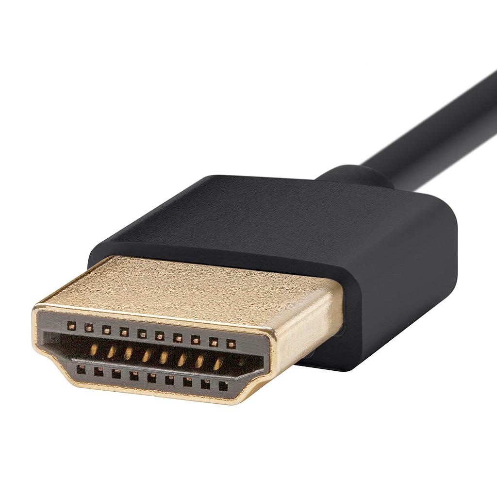 FTS-HDMI-SLIM-100