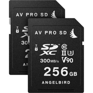 MP-EVA1-256SDX2